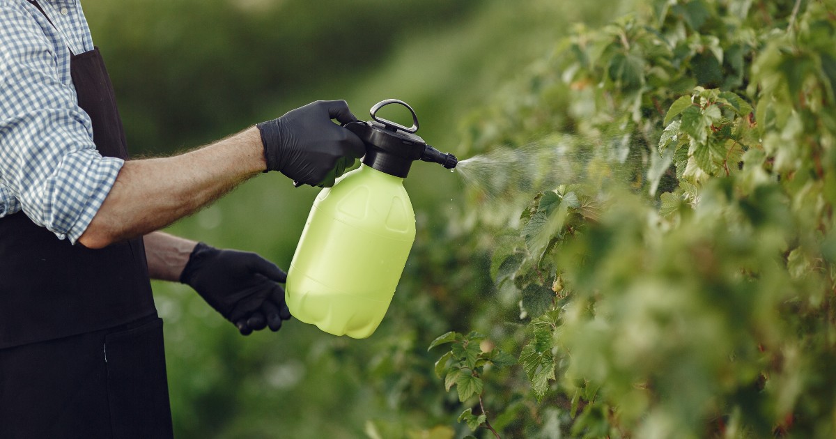 High remove wasp nest cost? The natural hack that saves you $300