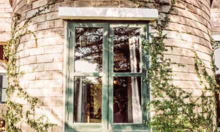 4 different ways to remove a wasp nest in window frame safely