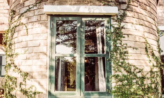 4 different ways to remove a wasp nest in window frame safely