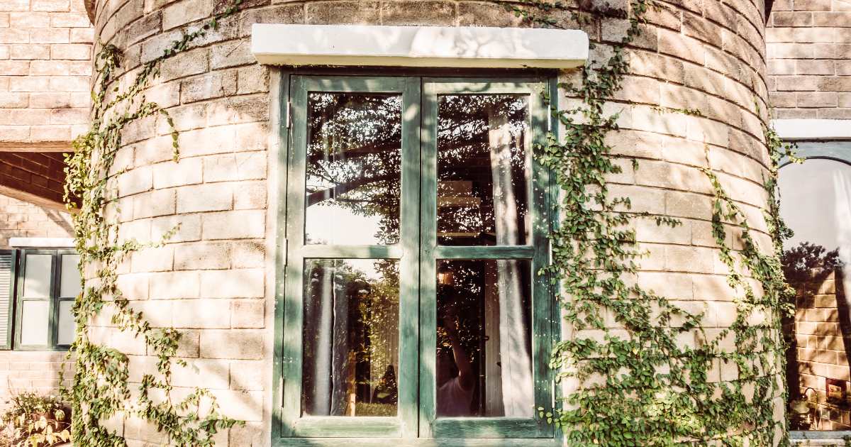 4 different ways to remove a wasp nest in window frame safely